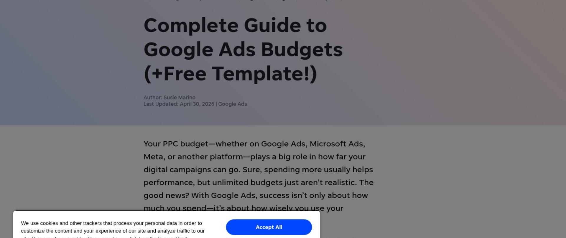 PPC Budget Allocation: How to Split Your Ad Spend in 2025